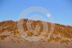 Full moon over the dune