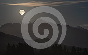 Full moon over mount Krivan peak - Slovak symbol - forest trees silhouettes in foreground, evening photo