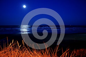 Full moon over Newport Beach photo