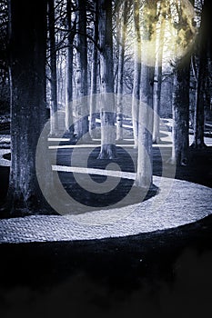 Full moon over night park