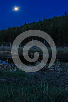 Full moon over Riding Mountain National Park