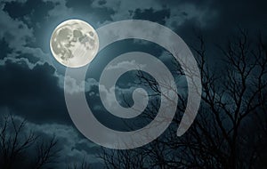 Full Moon Over Silhouetted Trees