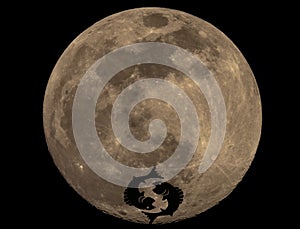 Full Moon Photo with Horoscopes