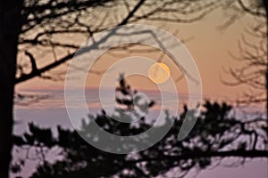 Full moon in the predawn sky.