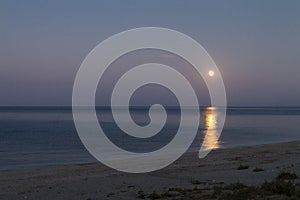 Full moon reflecting in the sea