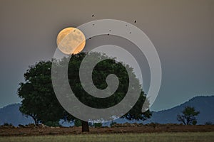 Full moon rise in the North Granada Geopark