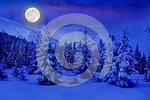 Full Moon rising above the winter fir forest covered of snow in mountains. Christmas night. Landscape winter