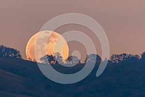 Full moon rising from behind a hill in the Diablo Mountain Range, in South San Francisco Bay Area, San Jose, California; visible