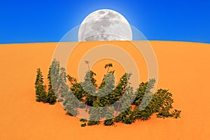 Full Moon Rising in Desert