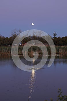 A full moon rising over a dam in Worcester, South Africa