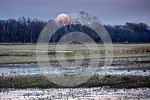 A full moon rising over a flooded field in Indiana