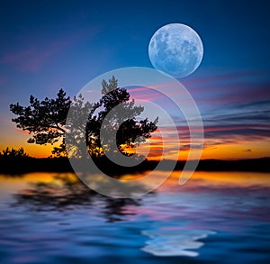 Full moon rising over the lake and tree silhouette