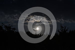 Full moon rising in Transylvania at night in forest