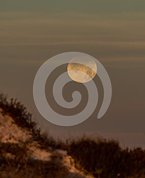 Full moon setting over sand dunes