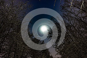 Full moon and starry sky in the night snowy forest