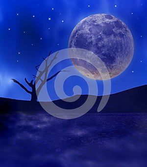 Full moon and tree in desert