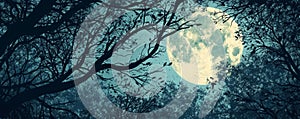 Full moon visible through silhouette tree branches at night