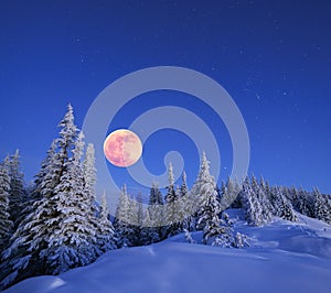 Luna llena en el invierno 