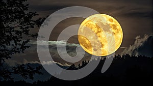 Full MoonYellow MoonNight Sky