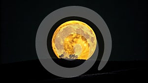 Full MoonYellow MoonNight Sky