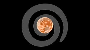 Orange Full Moon on Black Background