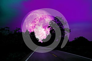 Full pink moon on night sky over country road