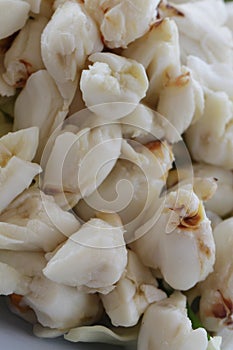 Full plate of fresh crab meat of boiled stone Crab decorated with vegetable side dish, Cheliped of the crab