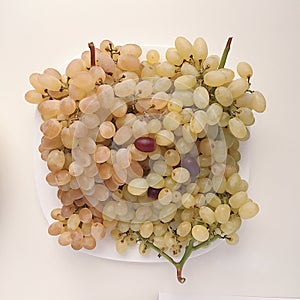 Grapes