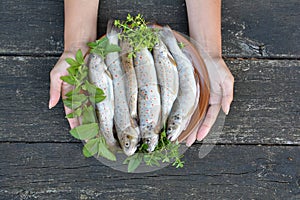 Full plate of river trout in girl`s hands