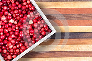 Full punnet of fresh ripe red cranberries