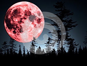 A full red moon in the night sky with trees in the foreground