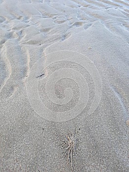 full sandy beach used for background