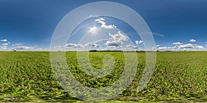 full seamless 360 hdri panorama view among farming field with sun and clouds in overcast sky in equirectangular spherical