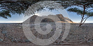 Full seamless spherical hdri 360 panorama view of sunset in desert under tree with sun shines from behind the mountain on coast of