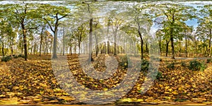 Full seamless spherical hdri panorama 360 degrees angle view in beautiful autumn forest or park with bright sun shining through