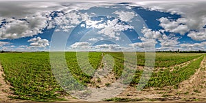 Full seamless spherical hdri panorama 360 degrees angle view among green farming fields in summer day with awesome clouds in