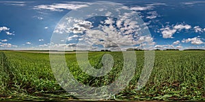 Full seamless spherical hdri panorama 360 degrees angle view among green farming fields in summer day with awesome clouds in