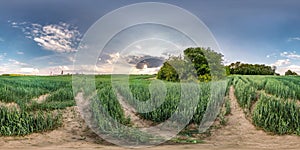 Full seamless spherical hdri panorama 360 degrees angle view among meadow rye field overlooking a huge chemical plant in