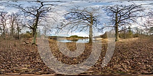 Full seamless spherical hdri panorama 360 degrees angle view on pedestrian walking path among oak grove with clumsy branches near