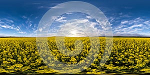 Full seamless spherical hdri panorama 360 degrees angle view on among rapseed canola colza fields in spring day with blue sky in