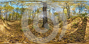 Full seamless spherical hdri 360 panorama in tree-covered ravine in autumn forest in sunny day in equirectangular spherical photo