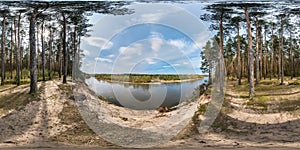 Full seamless spherical panorama 360 degrees angle view on the precipice of a wide river in pinery forest in sunny summer day in