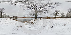 full seamless spherical winter hdri 360 panorama view among oak grove with clumsy branches in forest with snow in equirectangular