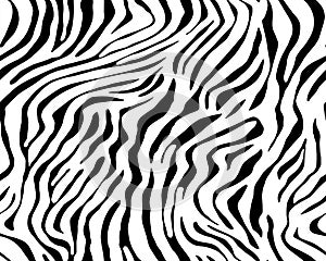 Full seamless wallpaper for zebra and tiger stripes animal skin pattern. Black and white design