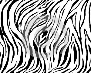 Full seamless wallpaper for zebra and tiger stripes animal skin pattern. Black and white design