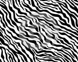 Full seamless wallpaper for zebra and tiger stripes animal skin pattern. Black and white design for textile fabric printing.