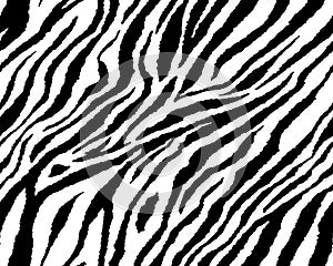 Full seamless wallpaper for zebra and tiger stripes animal skin pattern. Black and white design for textile fabric printing.