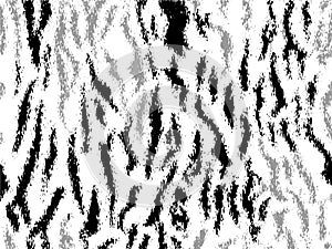 Full seamless zebra and tiger stripes animal skin pattern. Black and white design for textile fabric printing.