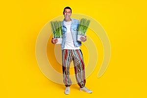 Full size photo of good mood man dressed denim vest over t-shirt hold two plants in hands isolated on vivid yellow color