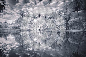 full spectrum modification photography with ir720nm filter